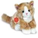 catlord12369