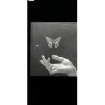 Xyara_2009