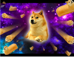 99% fail doge obby!