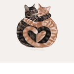 Cats always