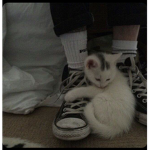xluvq