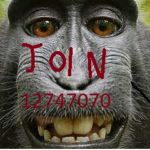 Fqmiiyy Is Cool