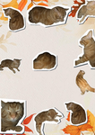 SUNNY'S GROUPP