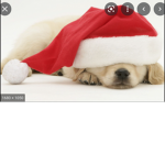 Aesthetic_Christmas