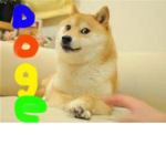 cute doges yah yah yah