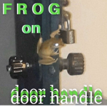 P H R O G .