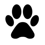 * mostly furry creations *