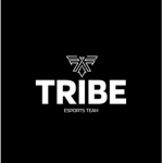 Masons tribe