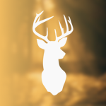 Nature Customs Designs