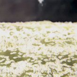 ✿