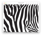 ZEBRAonlysGROUP