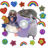 Indie rat’s