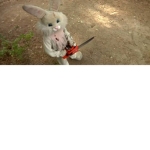 Bunny Man Rules