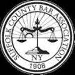 [USA] New York State LegislatureNew York State Uni
