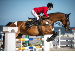 World Wide Equestrian