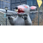 THE SUPER RATS