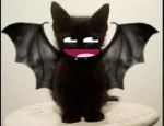 STARCOOPY