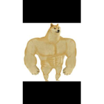 AMKgg