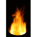 The Fire Inc.