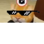 CIA Cat Inteligence Agency