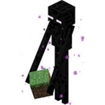 The Endermen Shadows