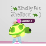 Shellson Squad
