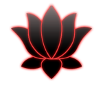 Night Lotus