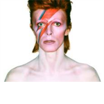 David Bowie Fans