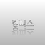 킹피스 PVP 그룹