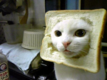 Breadworkers.CO