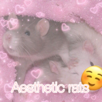 Ze aesthetic rats