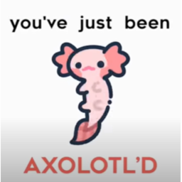 Axolotl