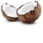 COCONUT SQUAD