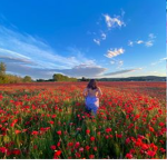 french poppy apparel
