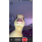 Die Tik tok Gruppe