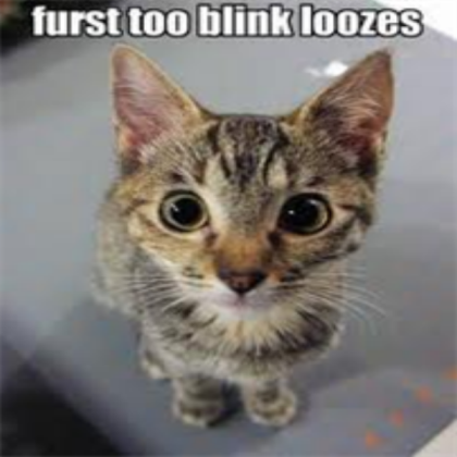 funny kitty Roblox decal