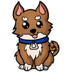 Team Wonder Dogs
