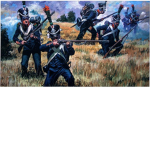 Napoleon COPS