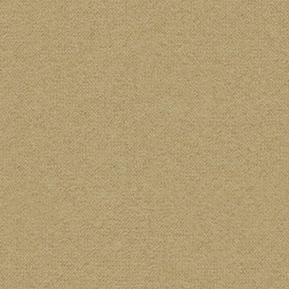 backrooms floor/carpet texture Roblox decal