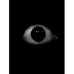 The Ritual Room (READ DISCRIPTION) icon