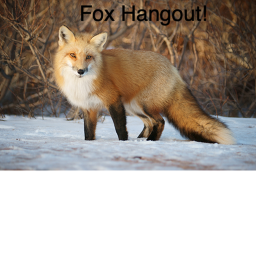 Fox Hangout