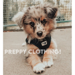 preppy fashion!