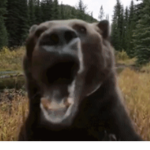 ÔwÔ