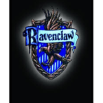 Enivirmentalist