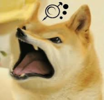 Doge Brigade