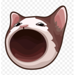 PopCatPat's Chat