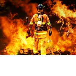 The Fire Department [NEW]