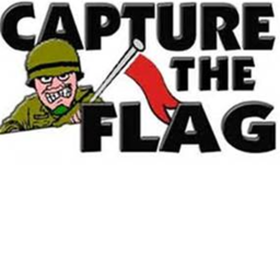 Capture the flag [ Pre-Alpha ]