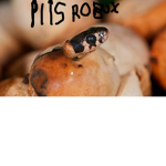 snaks_best