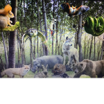 -~*The Animals~-*